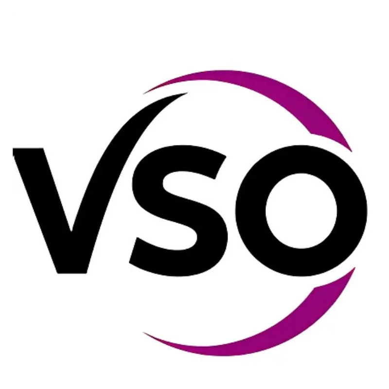 VSO Bahaginan Foundation Inc